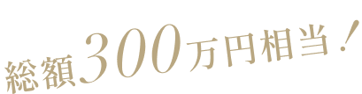 総額300万円相当